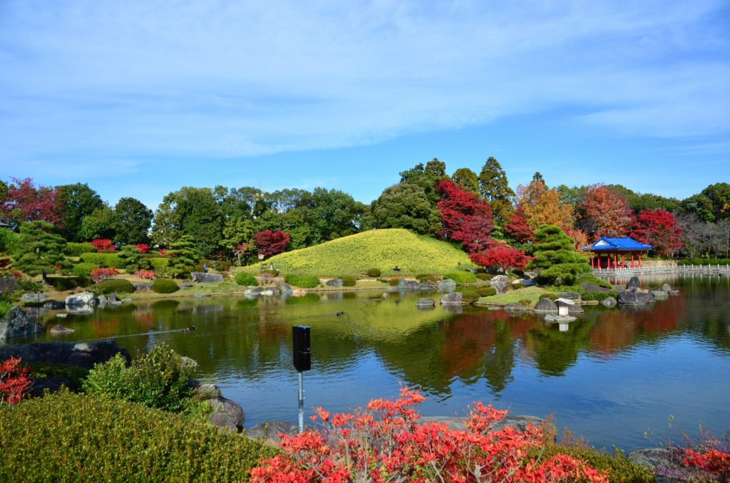 秋の大仙公園1の様子