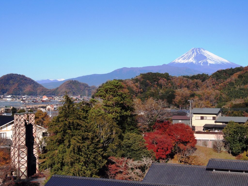 ダブル世界遺産の様子