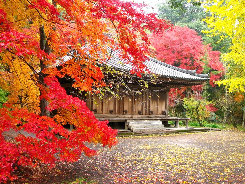 富貴寺の紅葉の様子