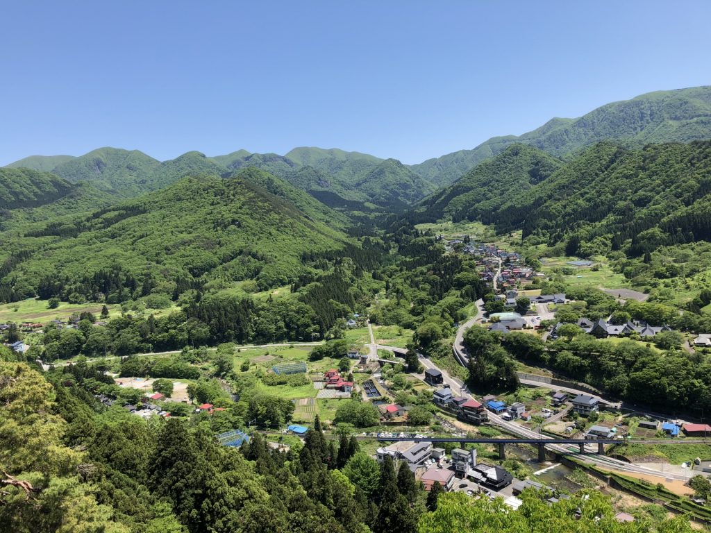 山の新緑の様子