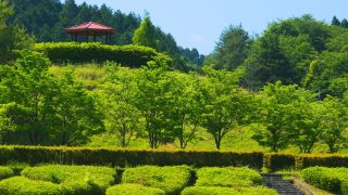 滋賀県