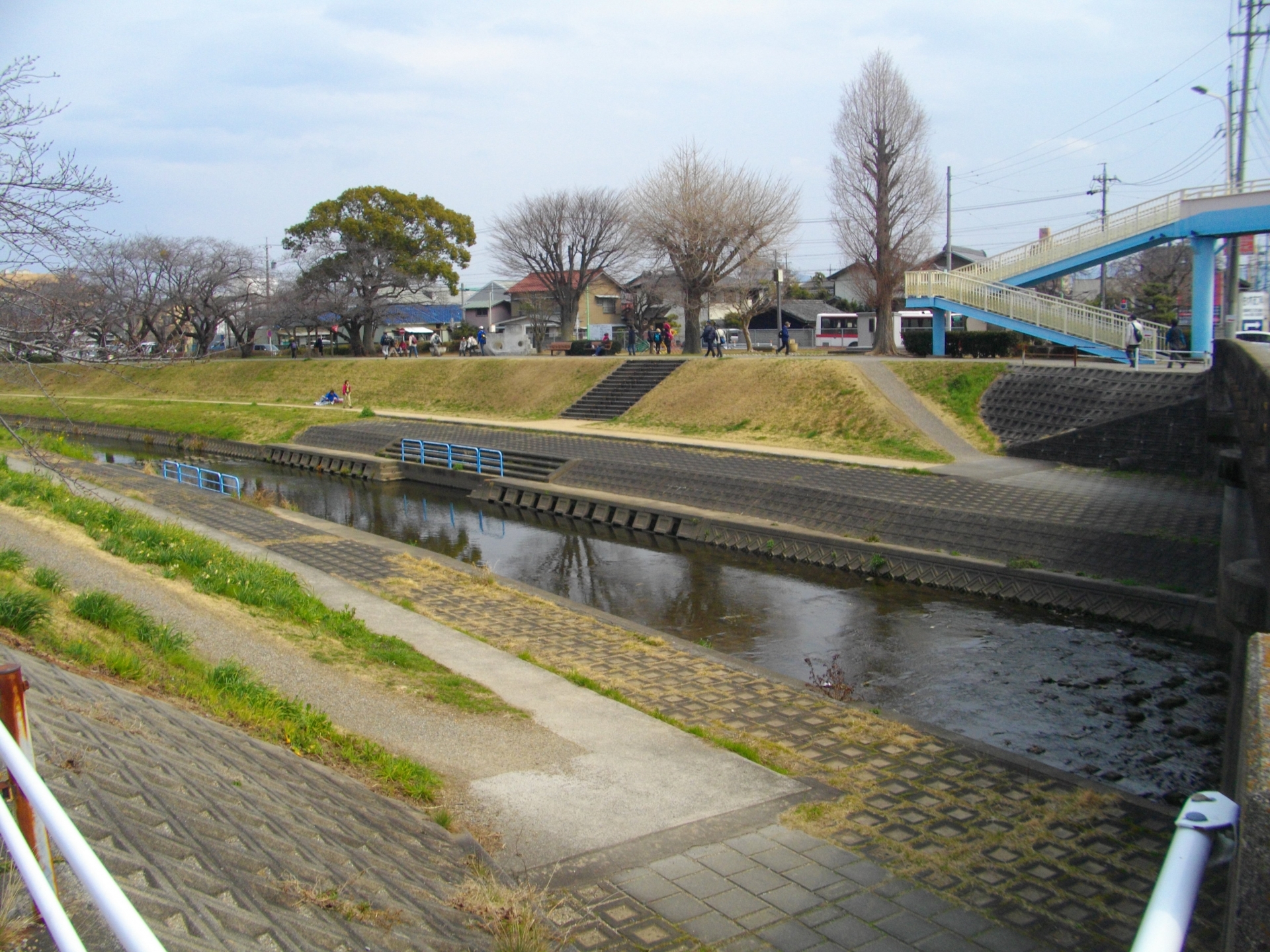 豊川市の川の様子