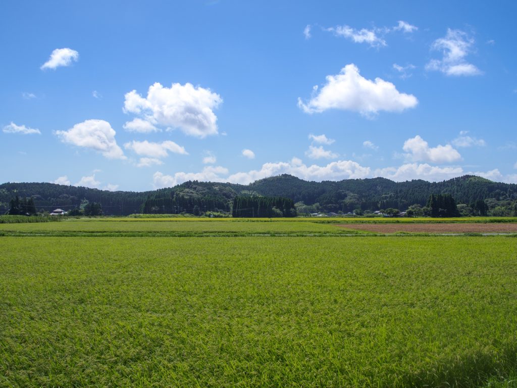 田舎の風景の様子