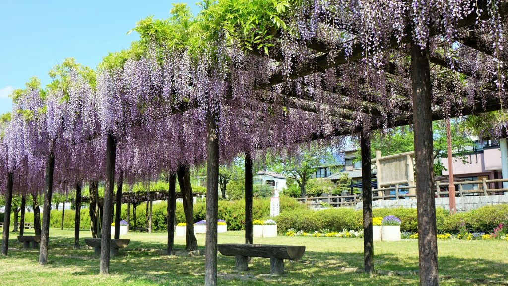 尾張旭市の城山公園の様子