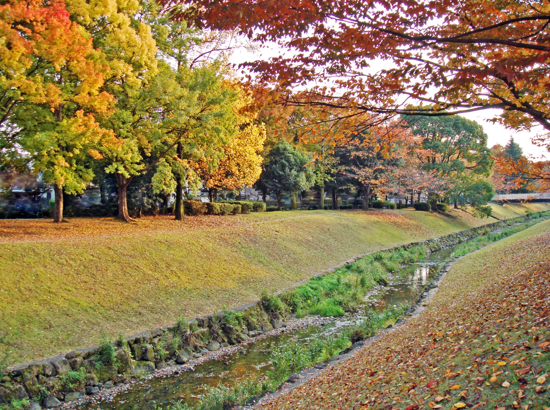 名古屋市の様子