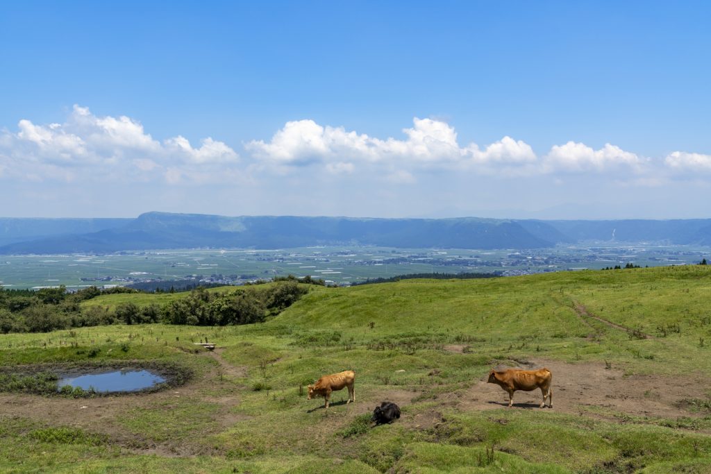 [熊本県]晴天の阿蘇・草千里の風景の様子