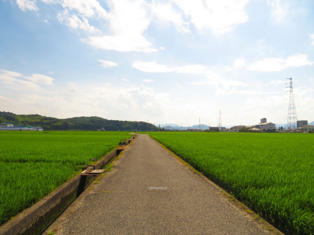 失敗しないポイント