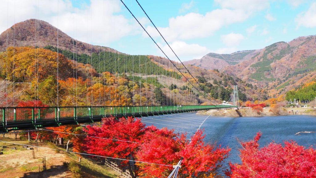 栃木県那須塩原の紅葉・もみじ谷大吊橋の様子