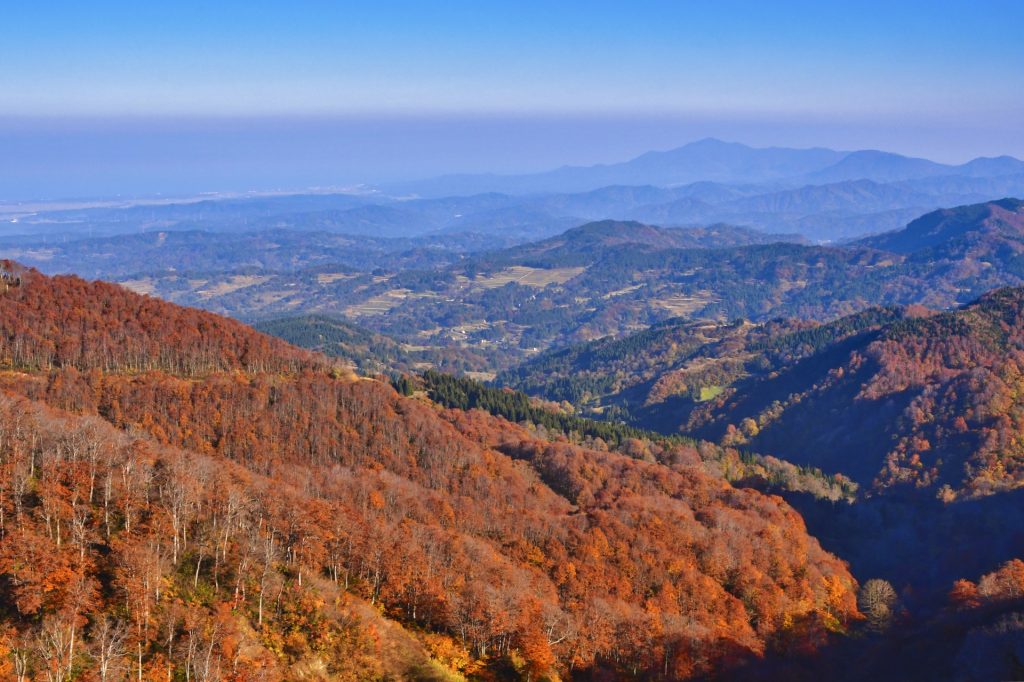 紅葉した山並み