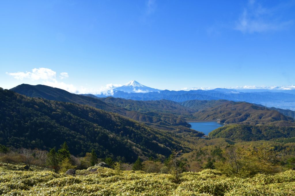 大菩薩嶺の草原から眺める富士山と大菩薩湖の様子