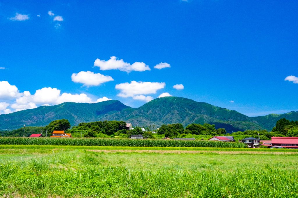 田舎の風景の様子