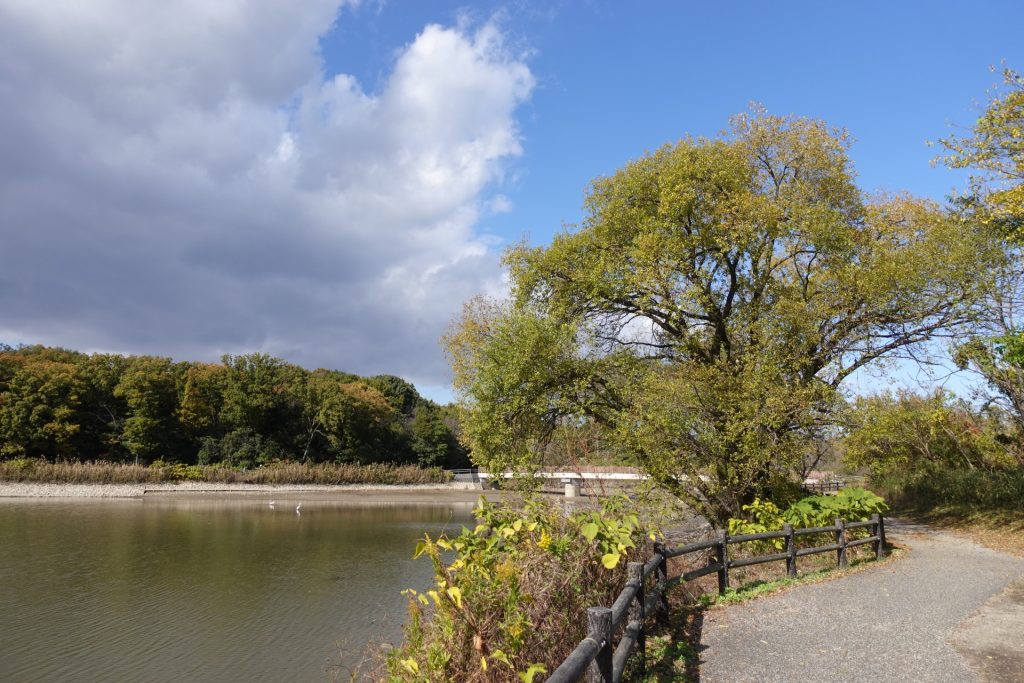 勅使水辺公園の様子