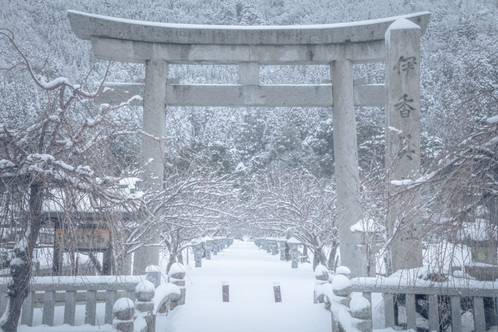 雪景色の様子