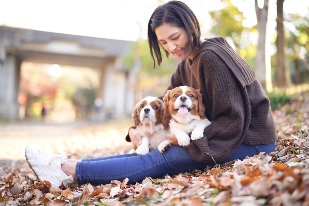 犬2匹を抱いている女性の様子