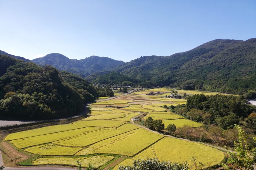 田染荘の収穫の秋の様子