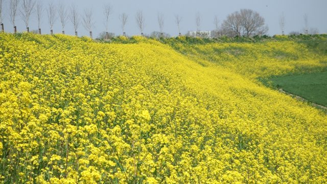 栃木県小山市