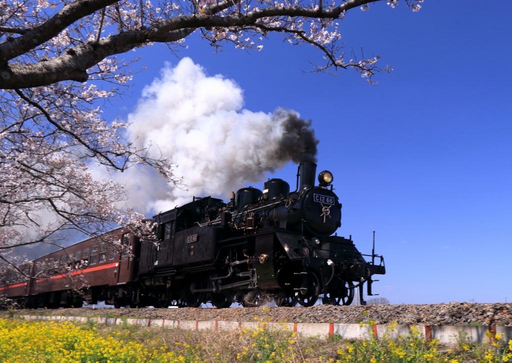 真岡鐵道のSL C1266の様子