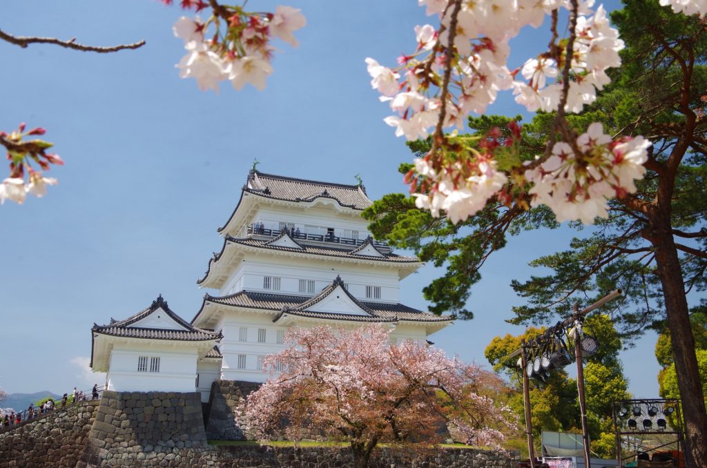 神奈川県田舎暮らし