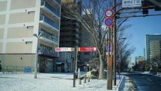 雪の積もる街路樹
