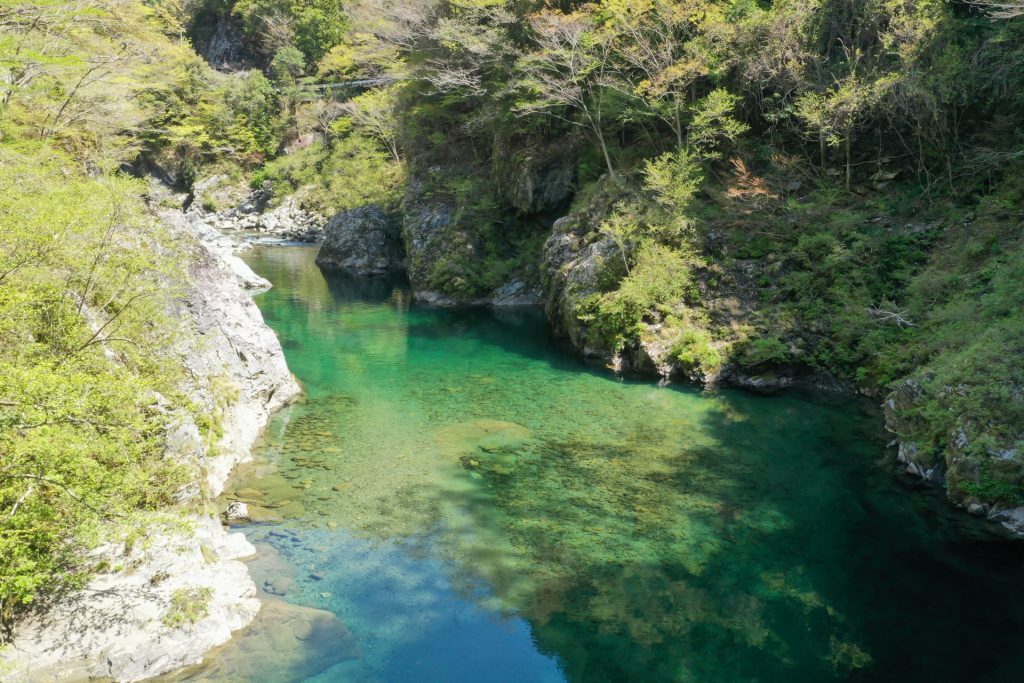 愛媛県久万高原町 面河川の風景の様子