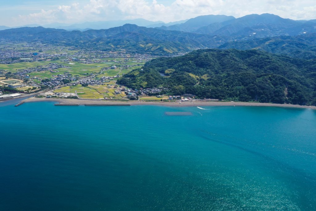 森の海岸の風景の様子