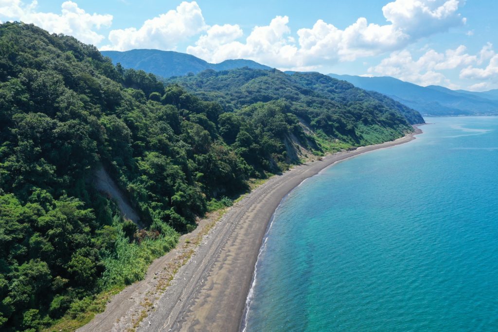 森の海岸の風景の様子