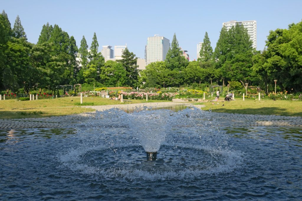 大阪・西区 靭公園 春のバラ園 噴水の様子