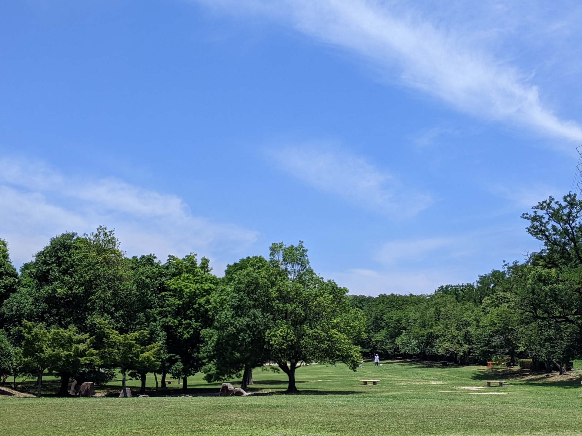 名古屋市の自然の様子