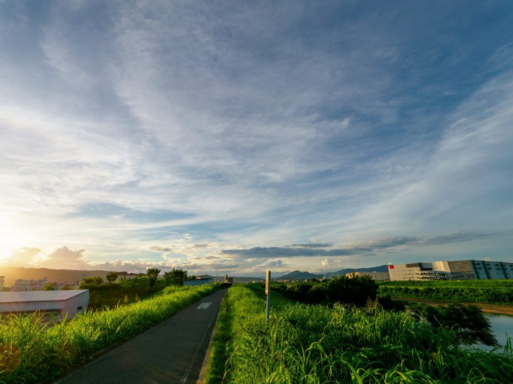 早朝の川沿いの風景の様子