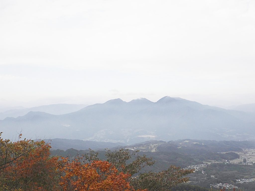 魅力