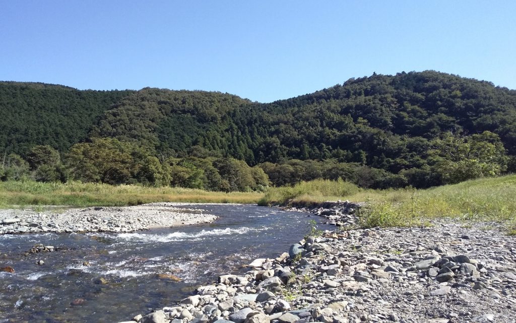 河原( 槻川 つきかわ )の様子