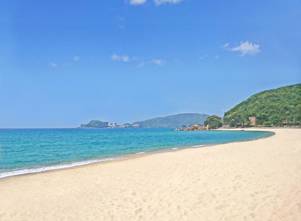 綺麗な海と砂浜の様子