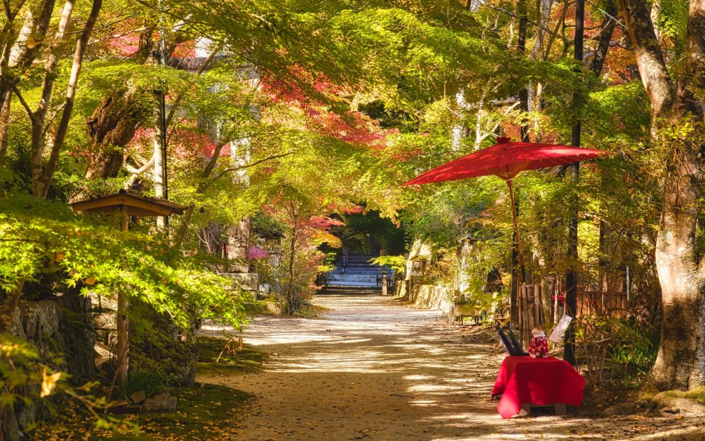 湖南市の魅力