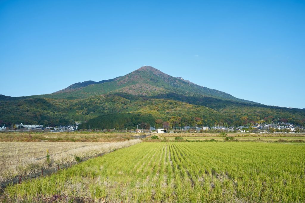 つくば市の様子