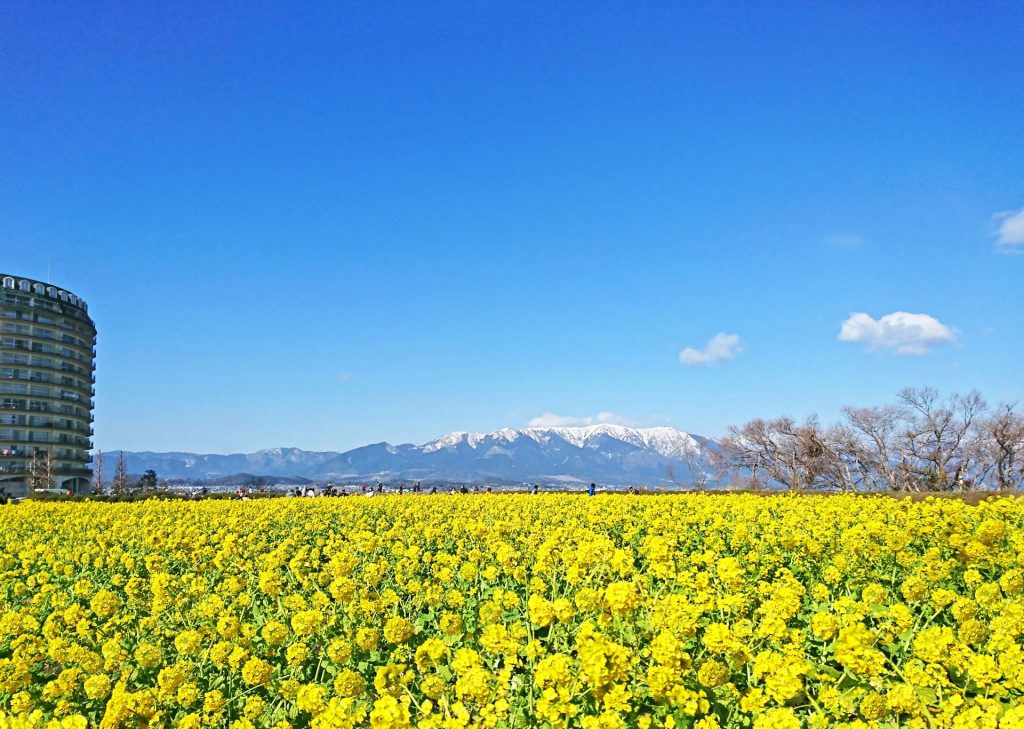 守山市