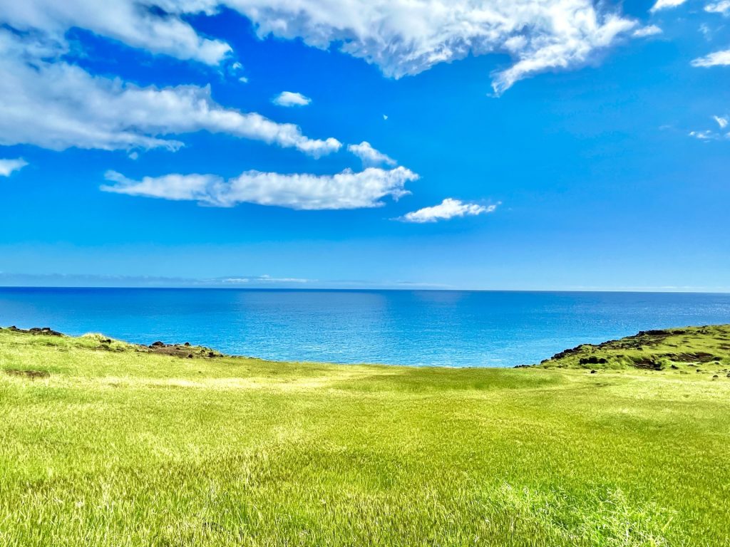 青い海と草原の風景の様子
