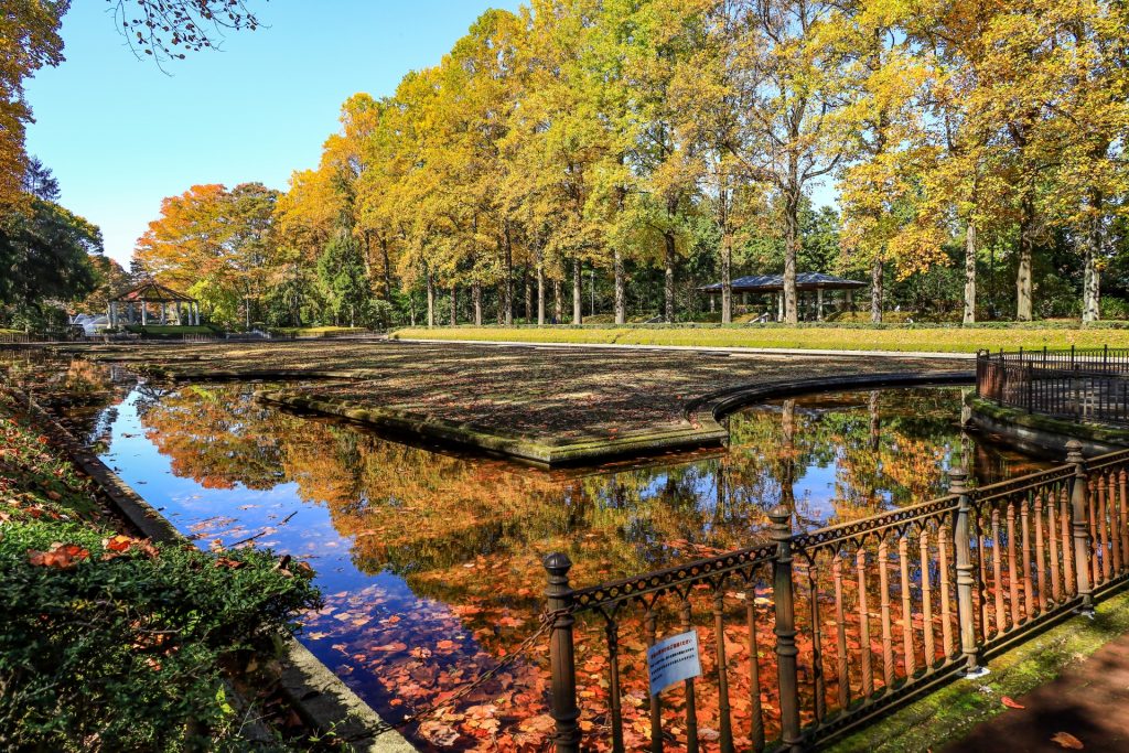 栃木中央公園の紅葉の様子