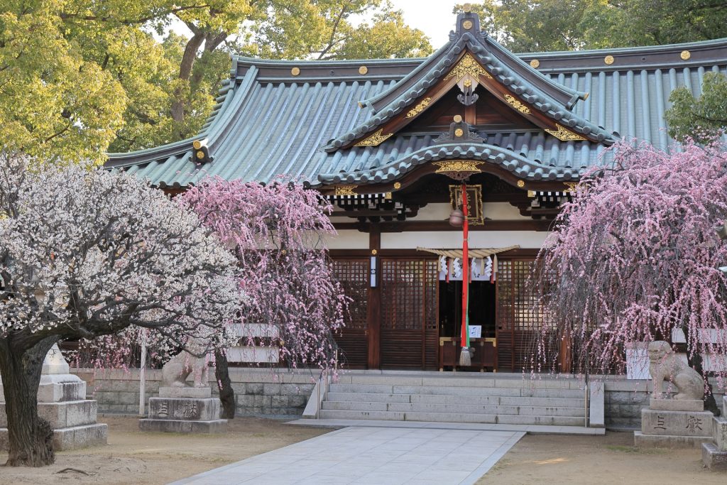 屯倉神社の梅林の様子