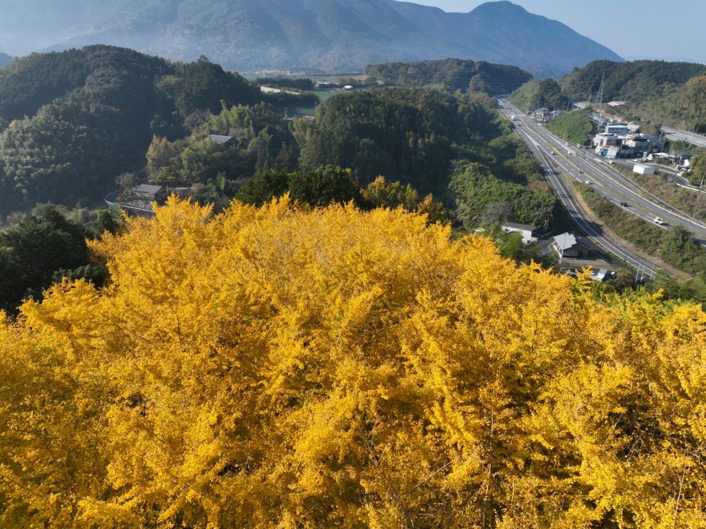 レトロな町並み