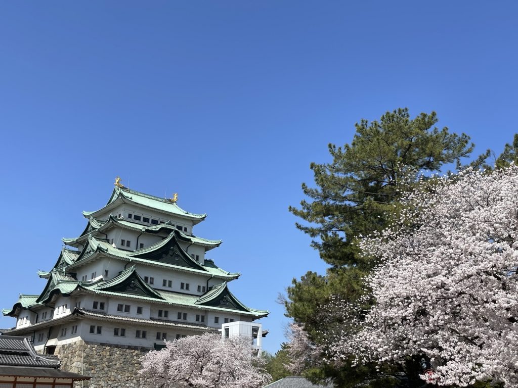 春の名古屋城2の様子