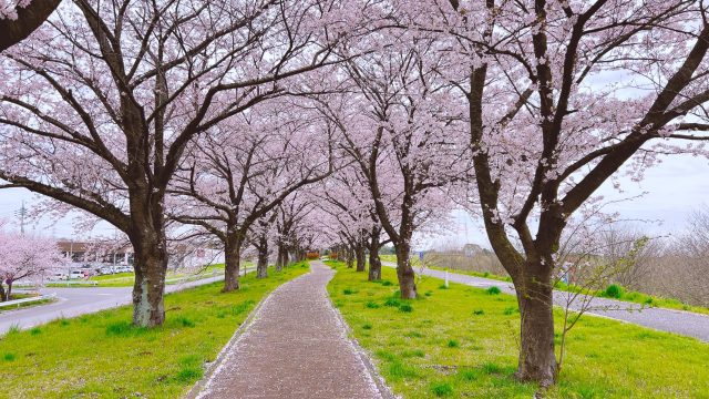 茨城県境町