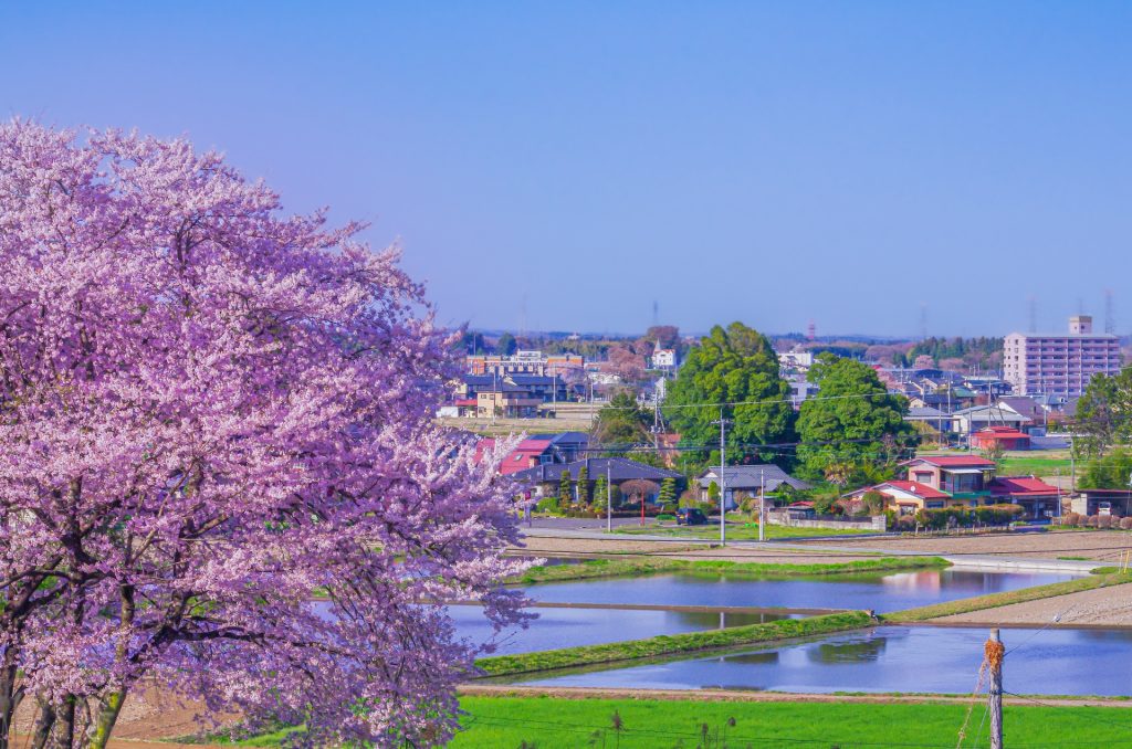 田舎の魅力