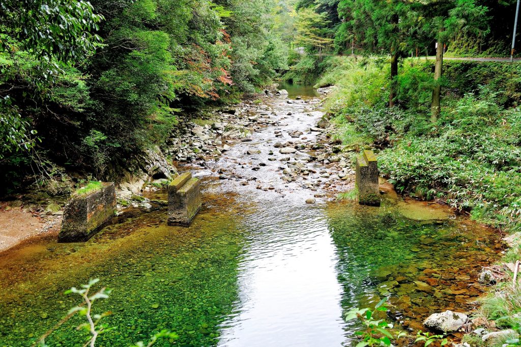 山口県山口市大原湖付近を散歩の様子