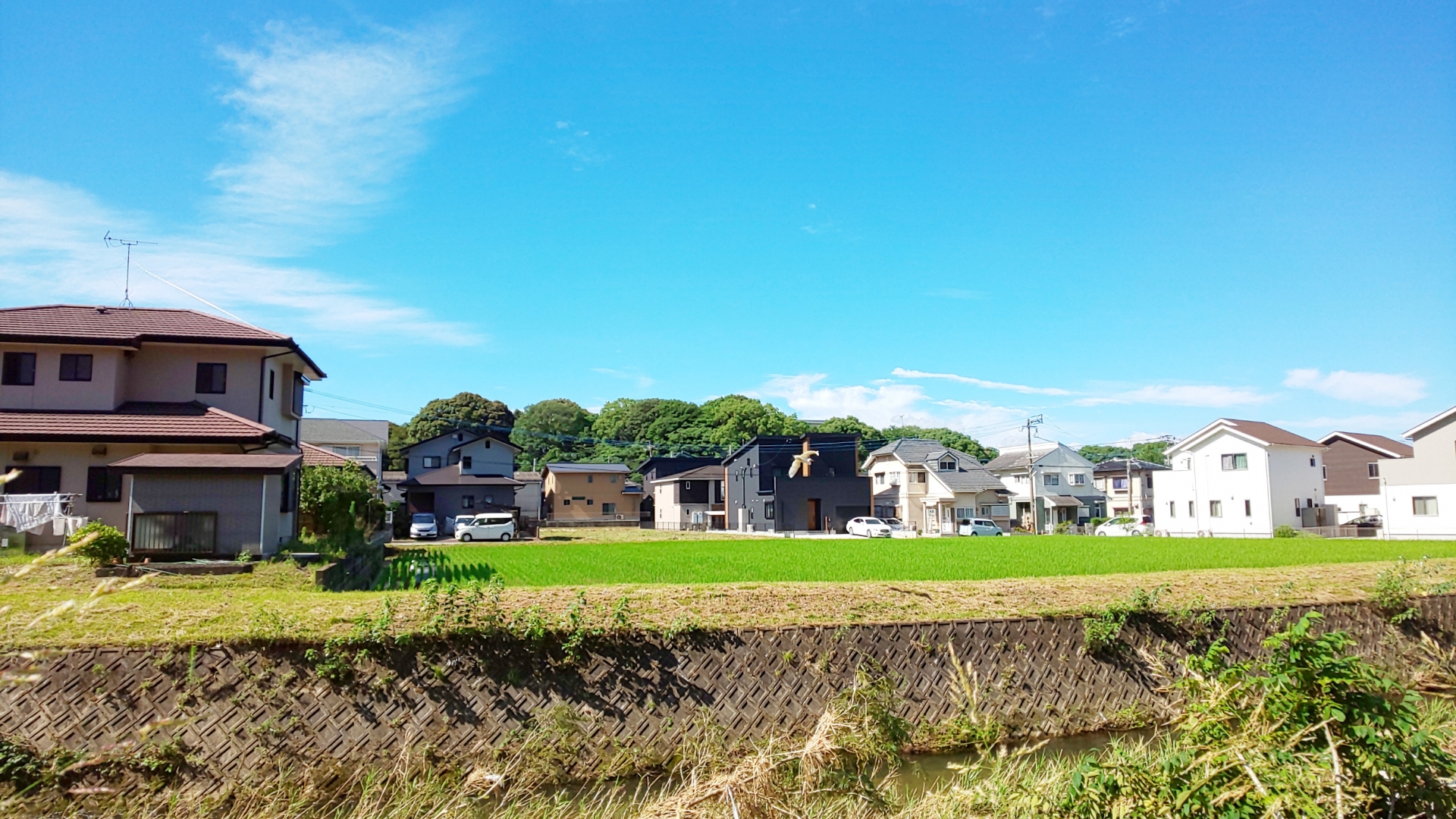 【愛知県】蒲郡市は海のレジャーと温泉が有名なリゾート地！その魅力を徹底紹介｜移住スタイル｜ライフスタイルから移住先を発見できるマガジン