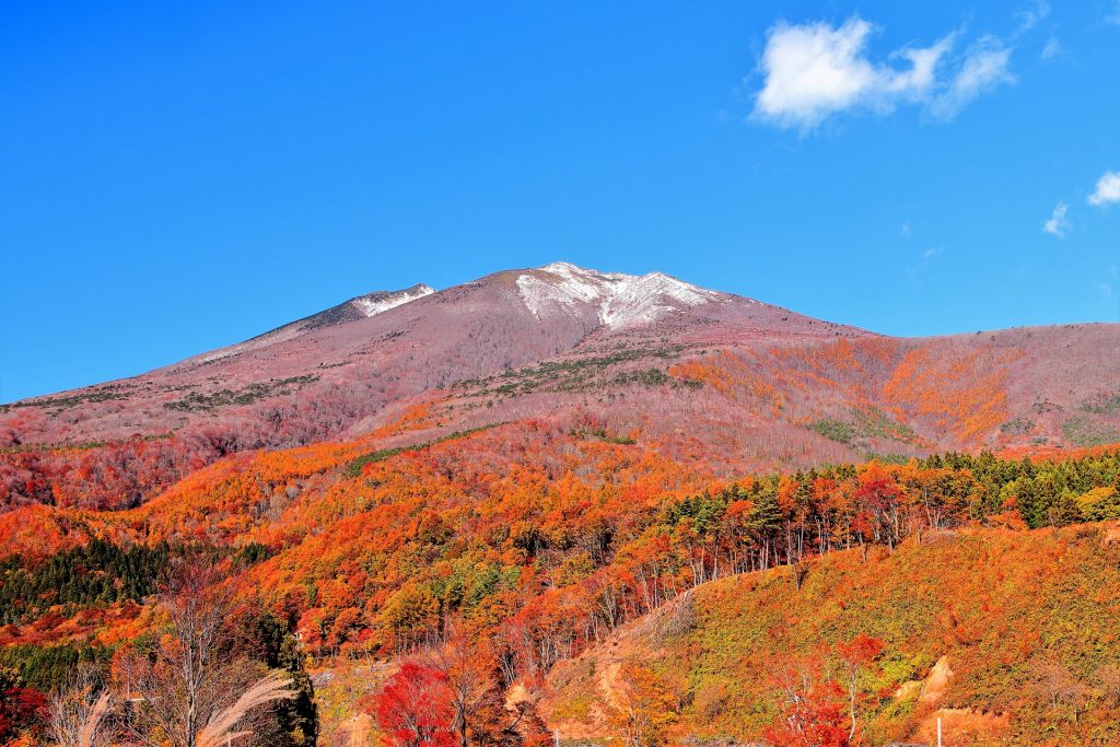 新雪の不忘山と山麓の紅葉の様子