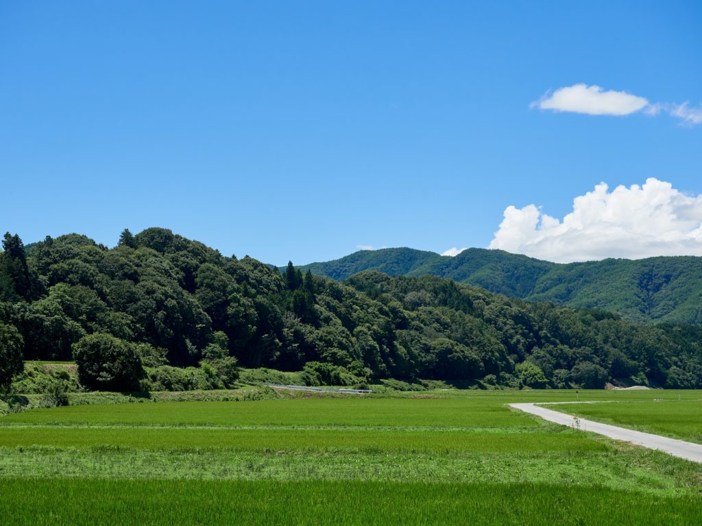 長野県伊那市の様子