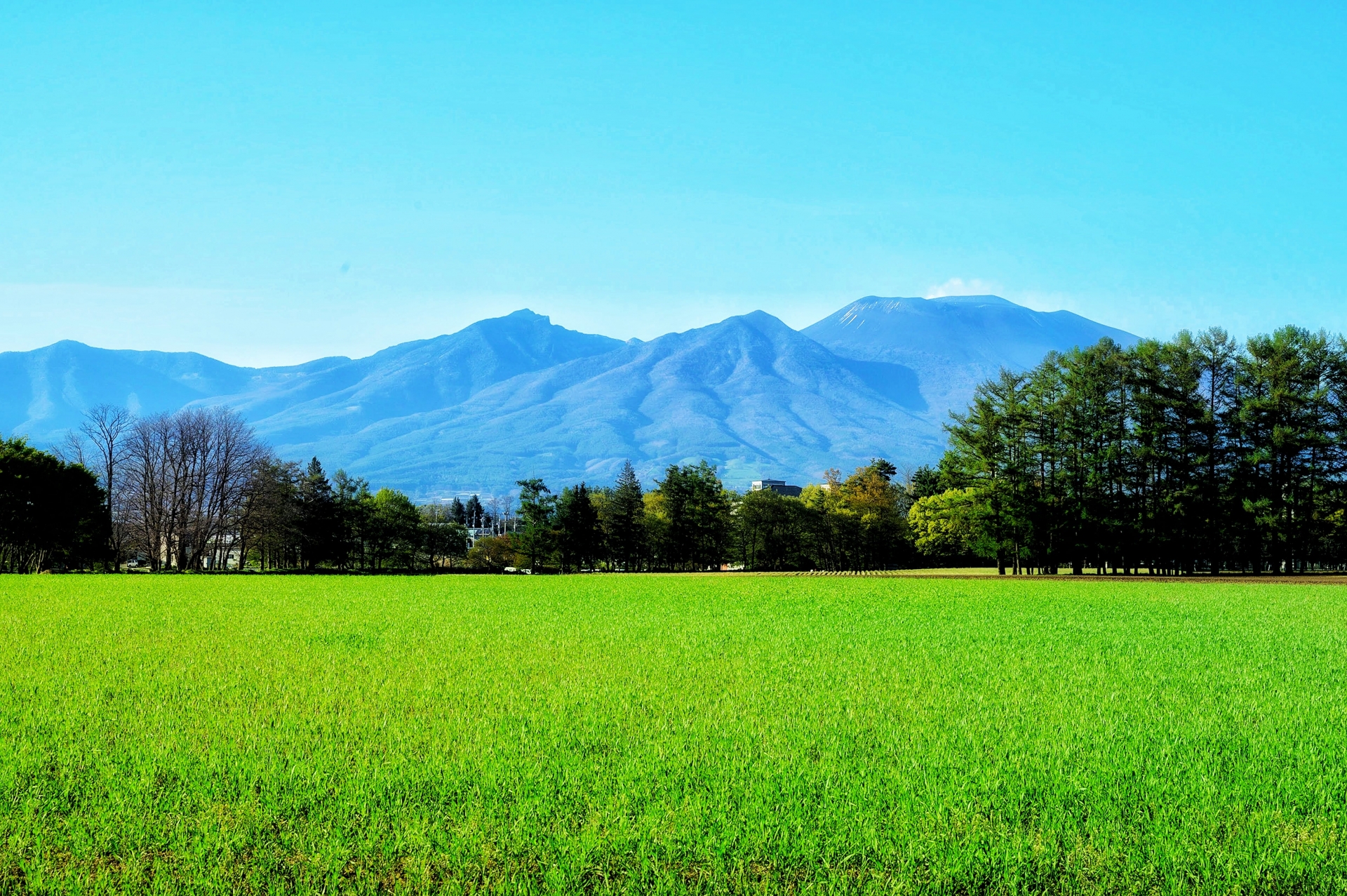 【長野県】県第4位の都市・佐久市へ移住！新幹線で東京駅まで約70分の利便性と発展した市街地・豊かな自然が充実！｜移住スタイル｜ライフスタイル ...