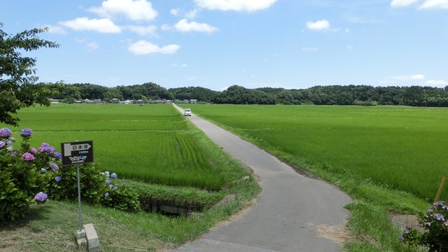 多古町