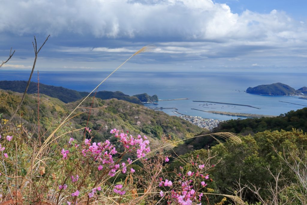 大峠展望所からの景観の様子