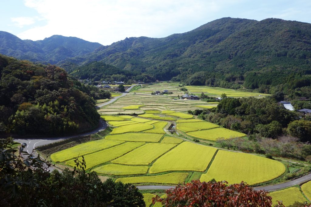 田染荘の秋の様子
